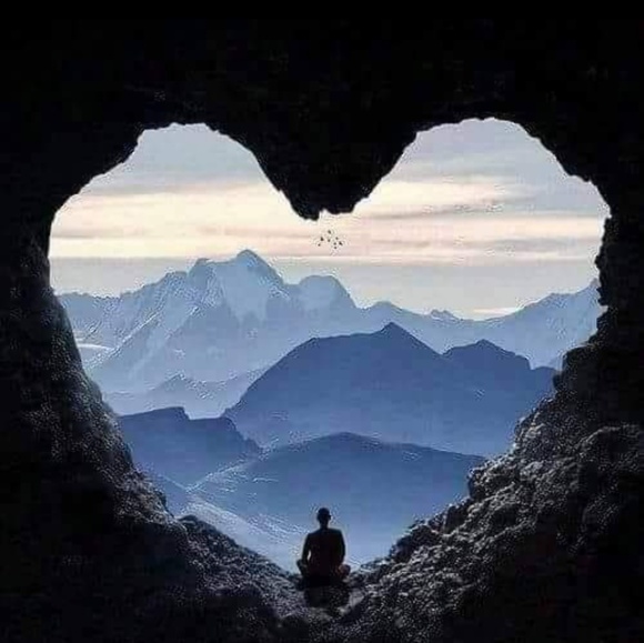 Meet your Posher, Shannon - Picture 2 of 2